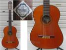 ■■.../FERNANDES ... GC30■■