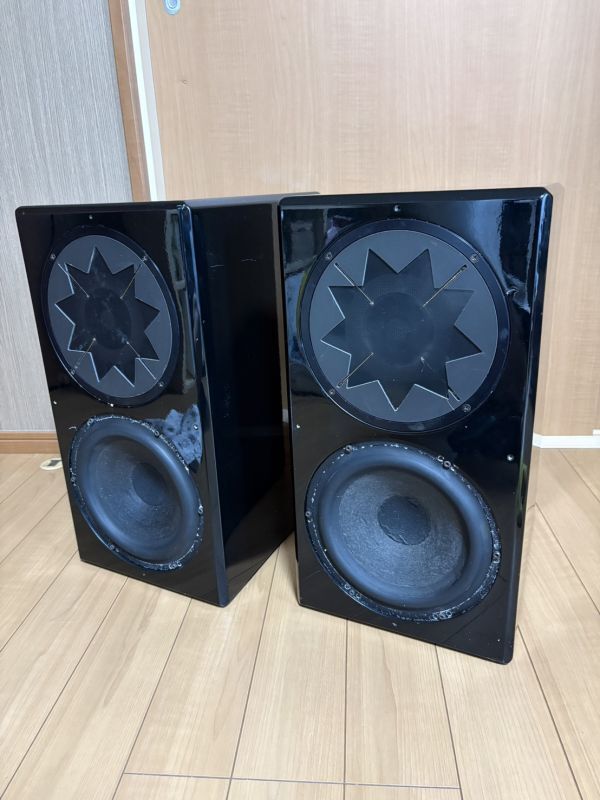 редко встречающийся   редкий   самодельный  динамик  manger BWT 20cm SCAN SPEAK 21W/4555-0121W/4555-01 ２ шт.   комплект    пара