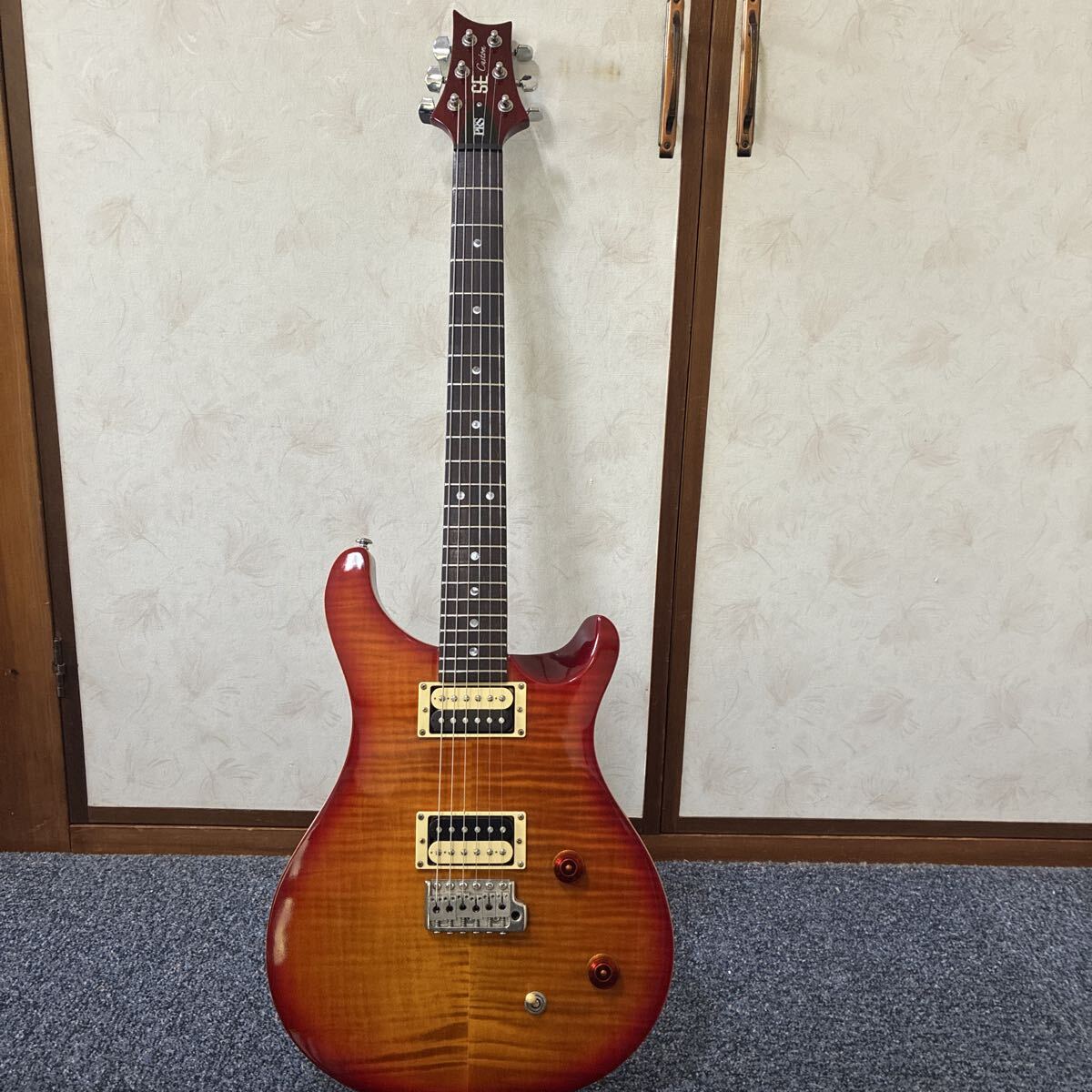 Paul Reed Smith(PRS)SE custom 22 200 5 лет   пр-во