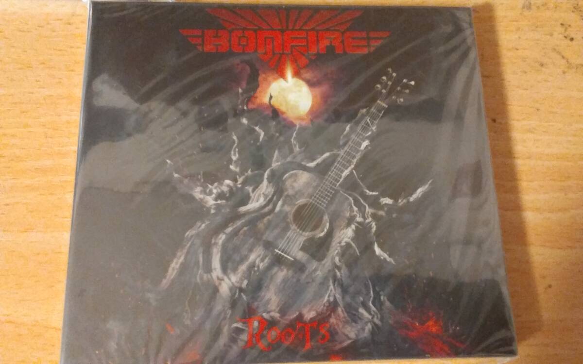 【 акустическая гитара  ... жилет 】BONFIRE    набор из двух штук Roots... упаковка  Характеристики  новый товар  .