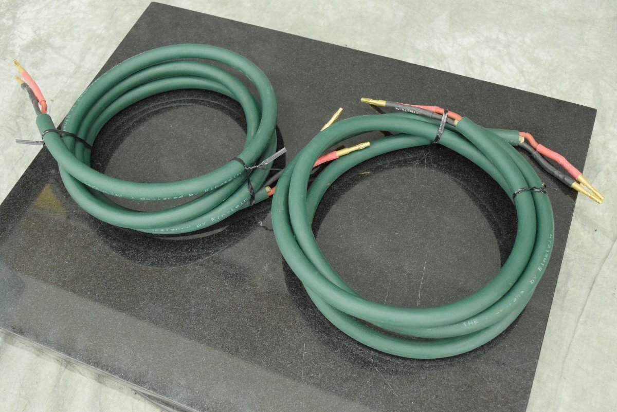 【C】EINSTEIN Greenlien  около 2.25m x2 3258555