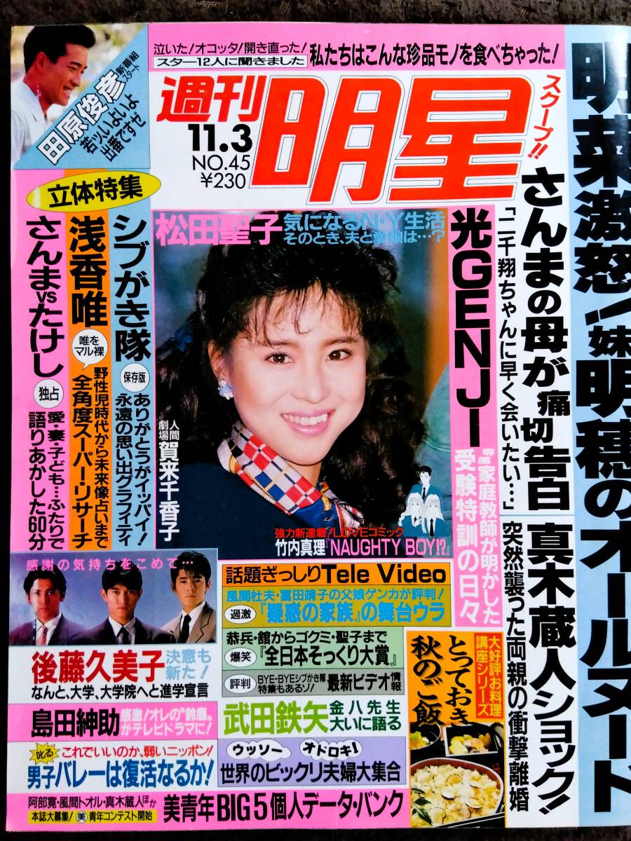 ♪ неделя ...1988 год 11.3 номер  ！ после  ... красивый ... лес ... Seiko Matsuda ... юг ... картина ...1000... большой ... камень  дом ... ...