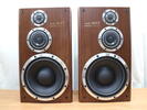 TECHNICS SB-MX7 динамик пара (T-310)